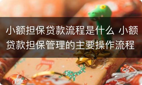 小额担保贷款流程是什么 小额贷款担保管理的主要操作流程
