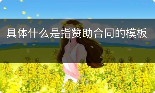 具体什么是指赞助合同的模板