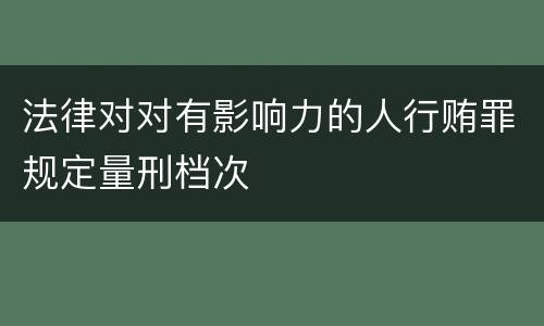 法律对对有影响力的人行贿罪规定量刑档次