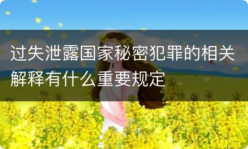 过失泄露国家秘密犯罪的相关解释有什么重要规定