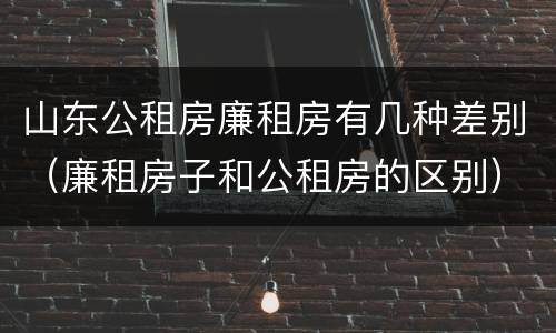 山东公租房廉租房有几种差别（廉租房子和公租房的区别）
