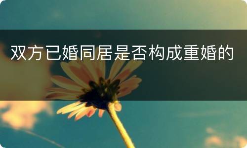 双方已婚同居是否构成重婚的