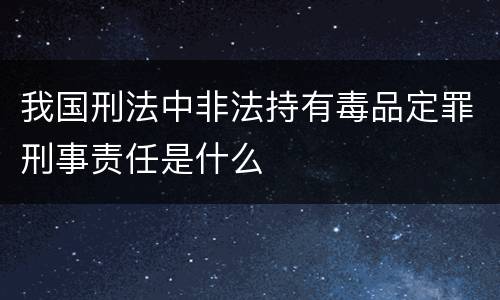 我国刑法中非法持有毒品定罪刑事责任是什么