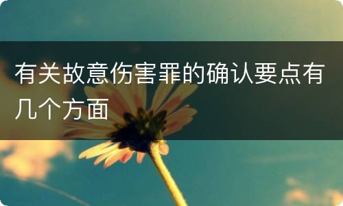 有关故意伤害罪的确认要点有几个方面