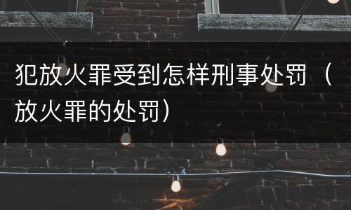 犯放火罪受到怎样刑事处罚（放火罪的处罚）