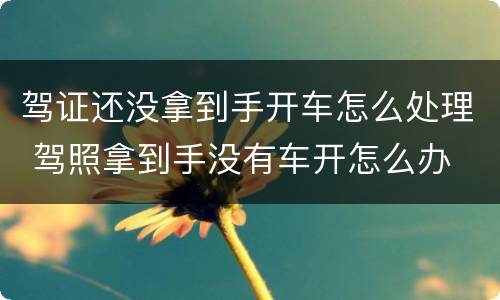 驾证还没拿到手开车怎么处理 驾照拿到手没有车开怎么办