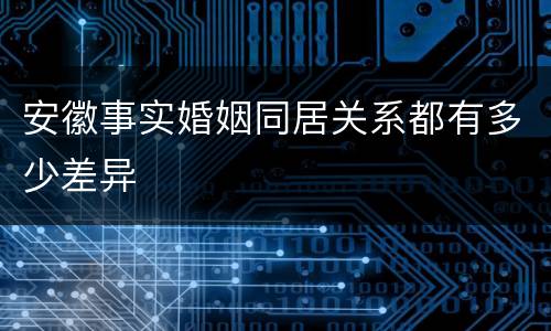 安徽事实婚姻同居关系都有多少差异