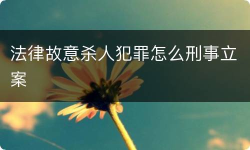 法律故意杀人犯罪怎么刑事立案