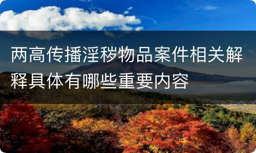 两高传播淫秽物品案件相关解释具体有哪些重要内容