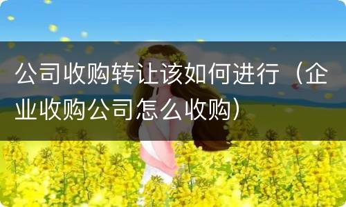 公司收购转让该如何进行（企业收购公司怎么收购）
