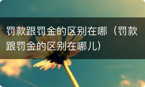 罚款跟罚金的区别在哪（罚款跟罚金的区别在哪儿）
