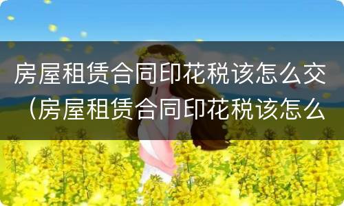 房屋租赁合同印花税该怎么交（房屋租赁合同印花税该怎么交的）