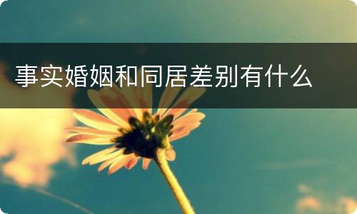 事实婚姻和同居差别有什么