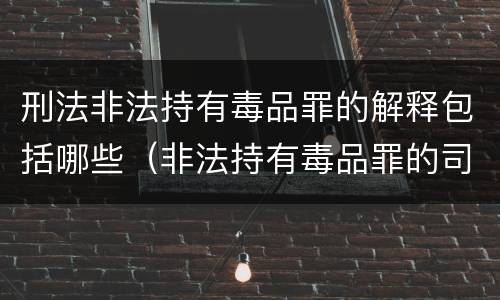 刑法非法持有毒品罪的解释包括哪些（非法持有毒品罪的司法解释）