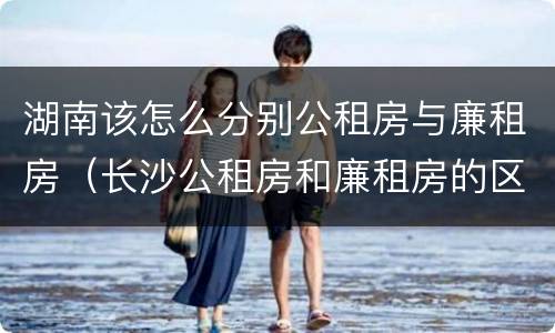 湖南该怎么分别公租房与廉租房（长沙公租房和廉租房的区别）