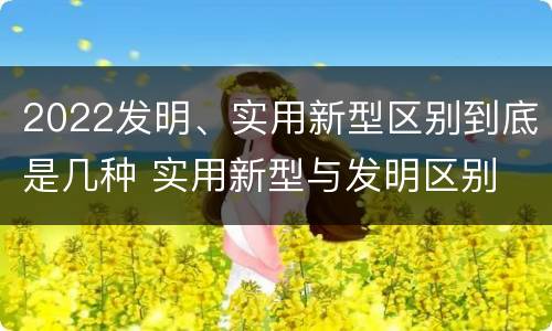 2022发明、实用新型区别到底是几种 实用新型与发明区别
