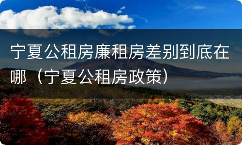 宁夏公租房廉租房差别到底在哪（宁夏公租房政策）