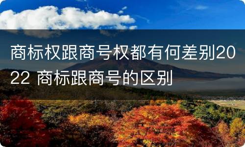 商标权跟商号权都有何差别2022 商标跟商号的区别