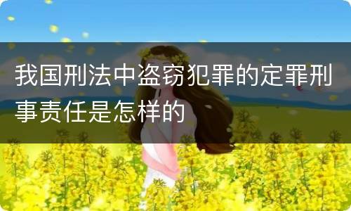 我国刑法中盗窃犯罪的定罪刑事责任是怎样的