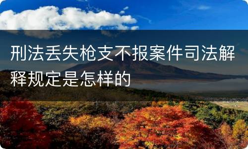 刑法丢失枪支不报案件司法解释规定是怎样的