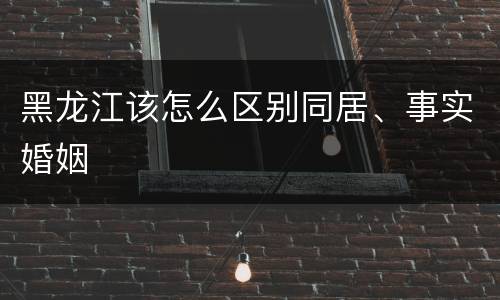 黑龙江该怎么区别同居、事实婚姻