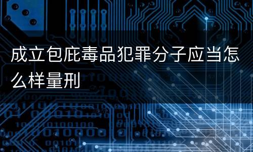 成立包庇毒品犯罪分子应当怎么样量刑