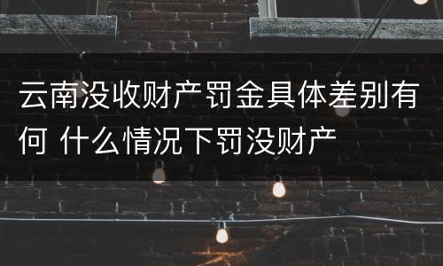 云南没收财产罚金具体差别有何 什么情况下罚没财产