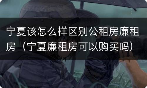 宁夏该怎么样区别公租房廉租房（宁夏廉租房可以购买吗）