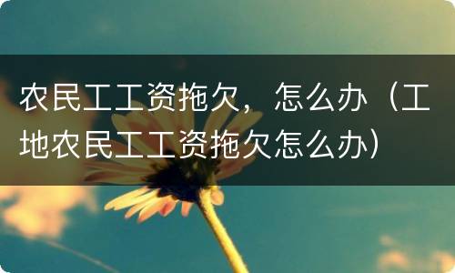 农民工工资拖欠，怎么办（工地农民工工资拖欠怎么办）