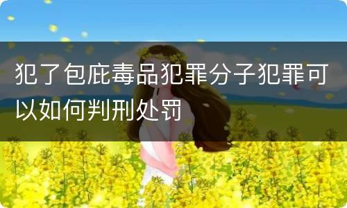 犯了包庇毒品犯罪分子犯罪可以如何判刑处罚