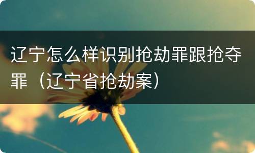 辽宁怎么样识别抢劫罪跟抢夺罪（辽宁省抢劫案）