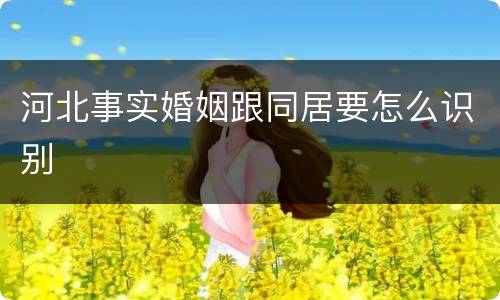 河北事实婚姻跟同居要怎么识别