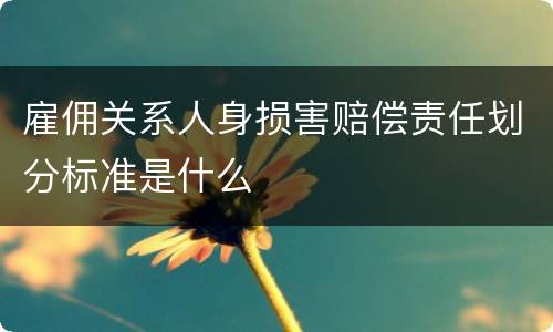雇佣关系人身损害赔偿责任划分标准是什么
