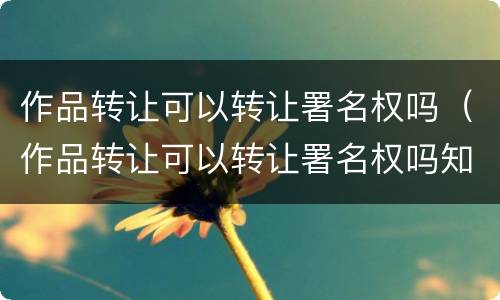 作品转让可以转让署名权吗（作品转让可以转让署名权吗知乎）