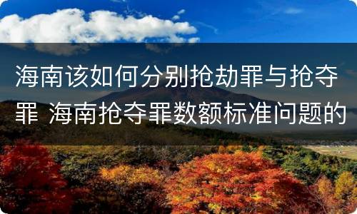 海南该如何分别抢劫罪与抢夺罪 海南抢夺罪数额标准问题的规定