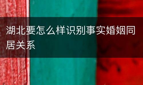 湖北要怎么样识别事实婚姻同居关系