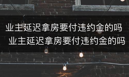 业主延迟拿房要付违约金的吗 业主延迟拿房要付违约金的吗合法吗