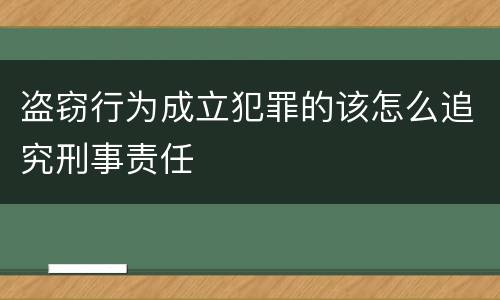 盗窃行为成立犯罪的该怎么追究刑事责任