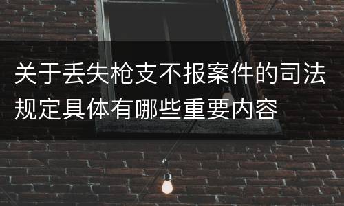 关于丢失枪支不报案件的司法规定具体有哪些重要内容