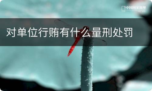 对单位行贿有什么量刑处罚