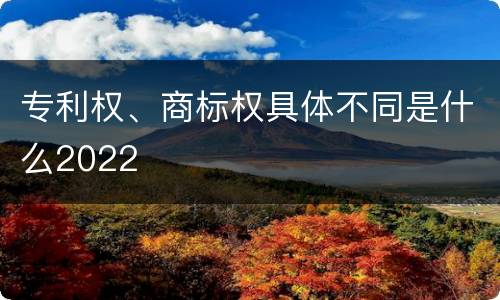 专利权、商标权具体不同是什么2022