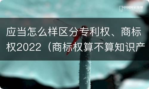 应当怎么样区分专利权、商标权2022（商标权算不算知识产权）