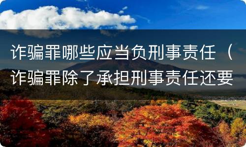 诈骗罪哪些应当负刑事责任（诈骗罪除了承担刑事责任还要承担什么责任）