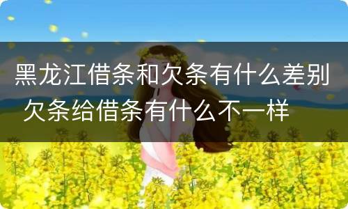 黑龙江借条和欠条有什么差别 欠条给借条有什么不一样