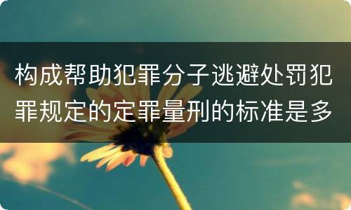 构成帮助犯罪分子逃避处罚犯罪规定的定罪量刑的标准是多少