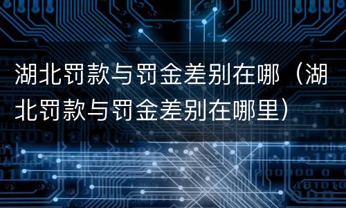 湖北罚款与罚金差别在哪（湖北罚款与罚金差别在哪里）