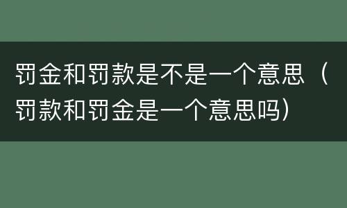 罚金和罚款是不是一个意思（罚款和罚金是一个意思吗）