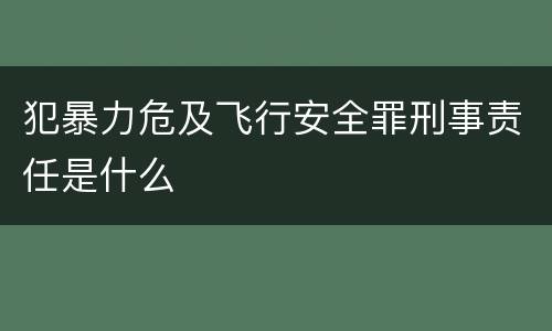 犯暴力危及飞行安全罪刑事责任是什么