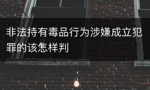 非法持有毒品行为涉嫌成立犯罪的该怎样判