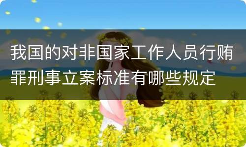 我国的对非国家工作人员行贿罪刑事立案标准有哪些规定